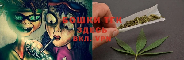 индика Армянск
