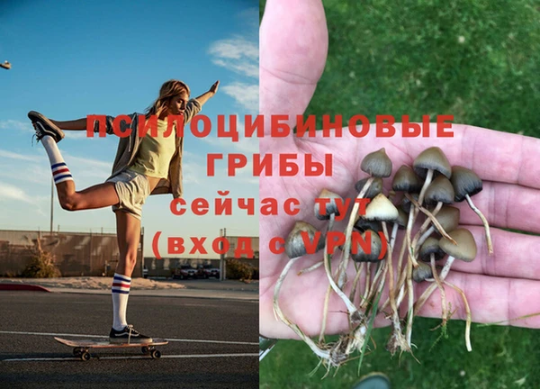 не бодяженный Аркадак