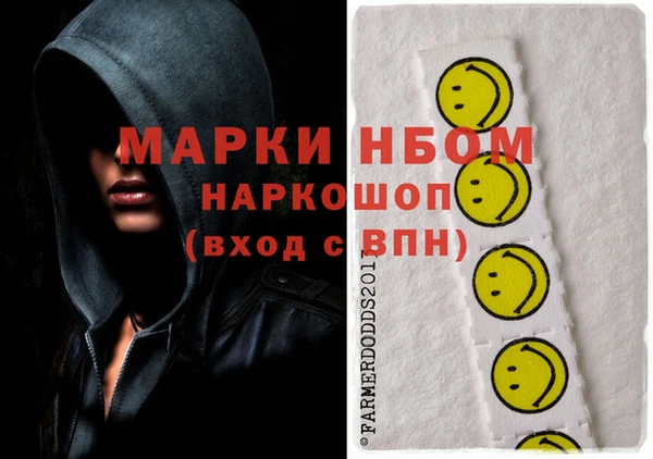 индика Армянск