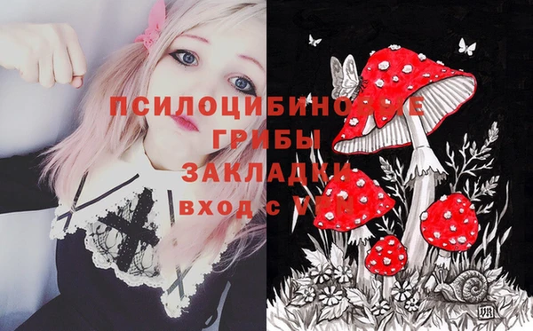 не бодяженный Аркадак