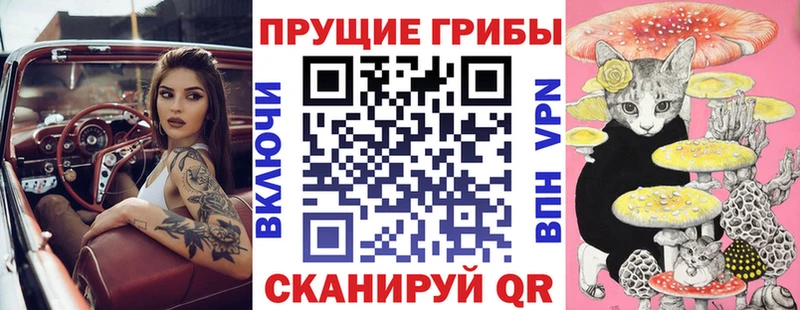 Псилоцибиновые грибы Magic Shrooms  Дмитров 